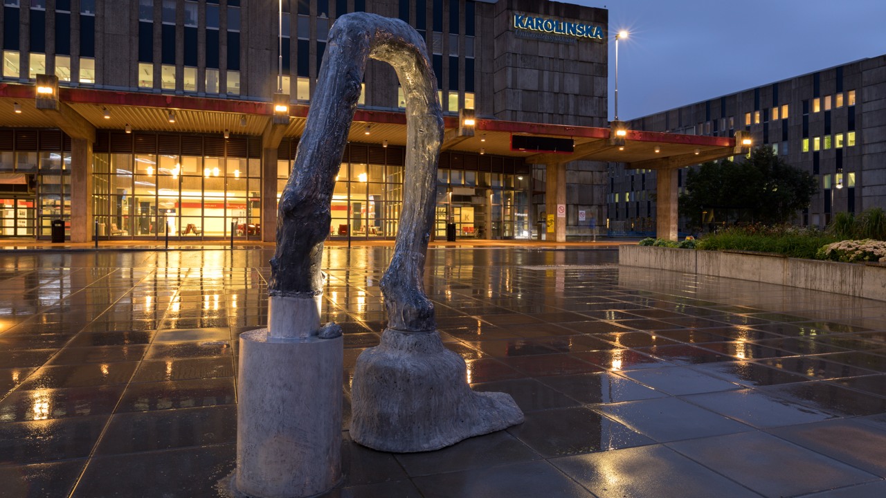 Skulptur framför huvudentrén i kvällsmörker.