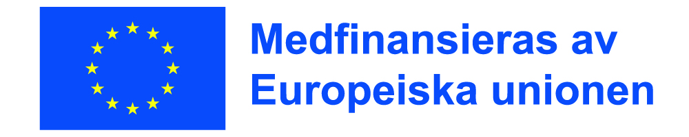 EU:s logo f&ouml;r medfinansiering av Europeiska unionen