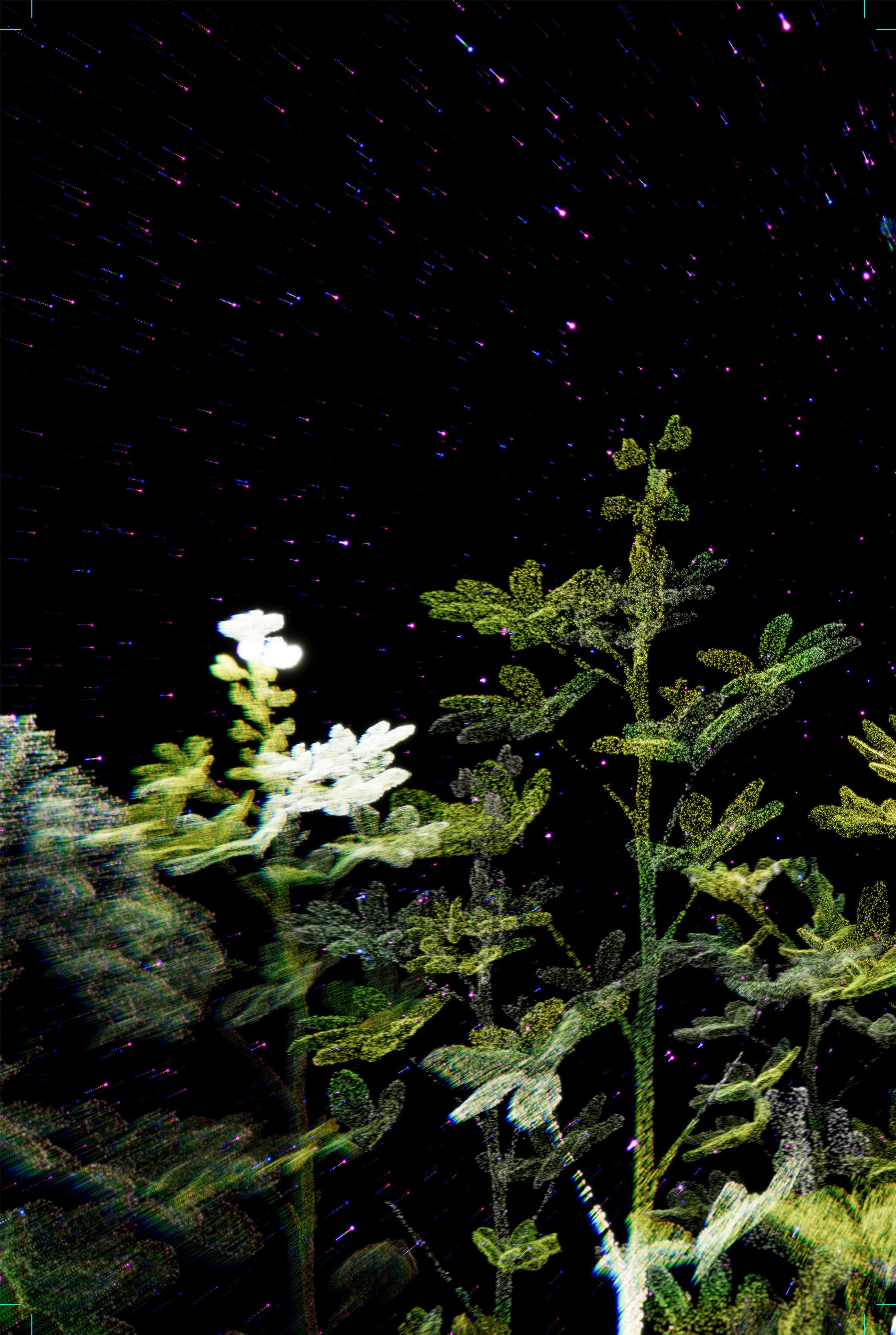 N&auml;rbild av konstverk i fotostil med blommande v&auml;xt mot m&ouml;rk bakgrund.