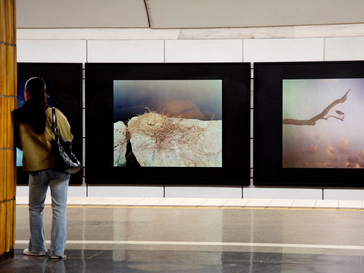 En person som står bredvid en vägg med bilder på.