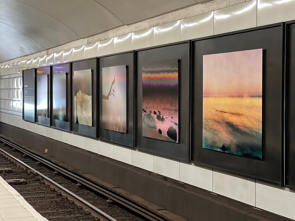 suggestiva naturfotografier i tunnelbanan