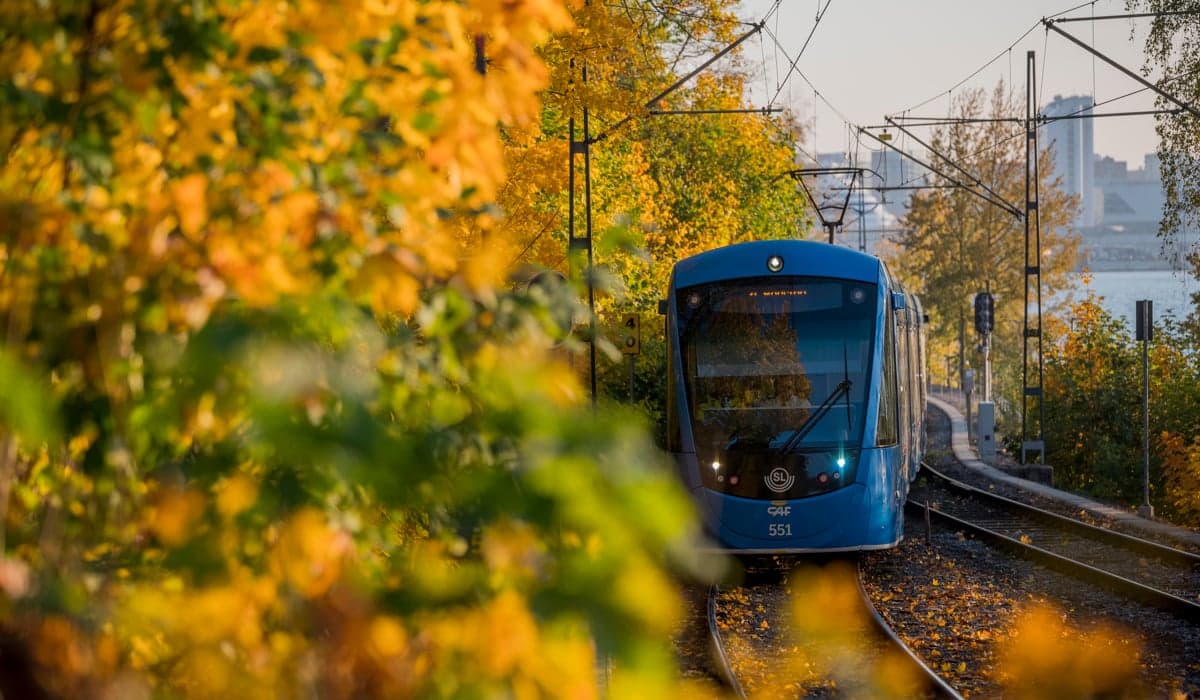 Lidingöbanan tåg färdas på spåren. Det är märkbart höst och bladen är nu i vackra höstfärger.