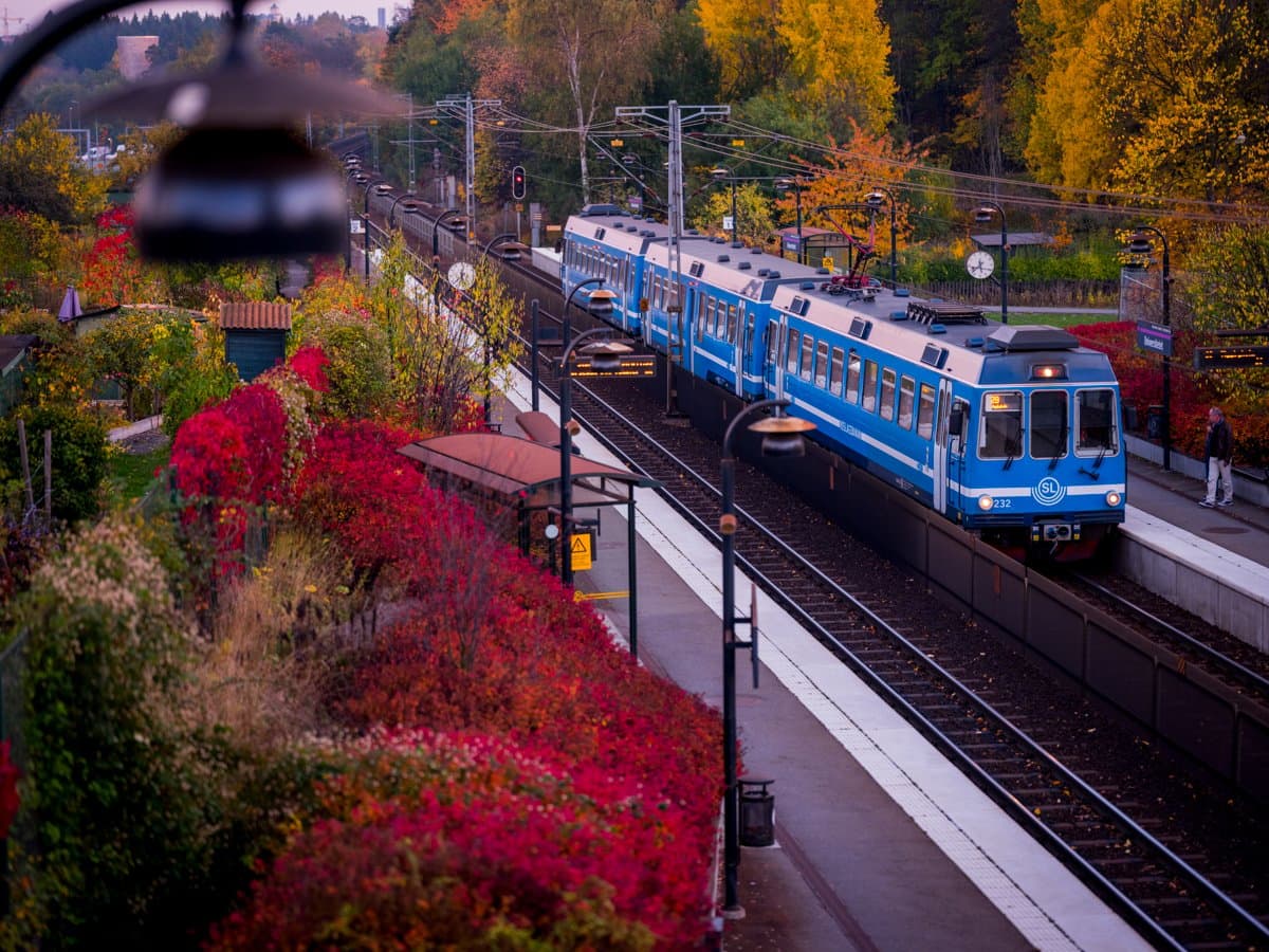 Roslagsbanan har rullat in på station och ska släppa av resenärer. Närmast i bild ser vi ett starkt lysande träd. 