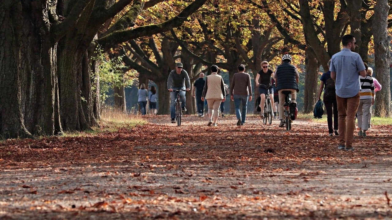 Människor som flanerar i en park. Vi kan också se flertalet cyklister och många höstfärger.