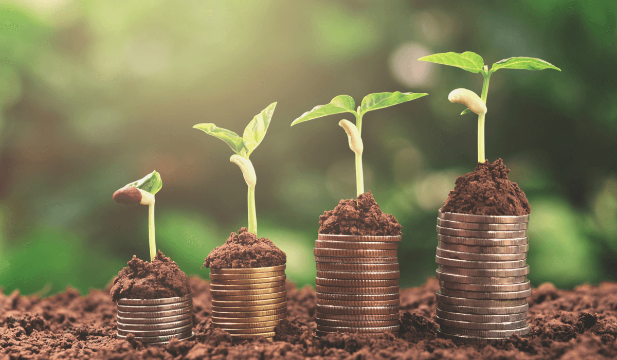 Gröna växter har slagit rot från fyra högar med mynt. Mynten ligger på jord.