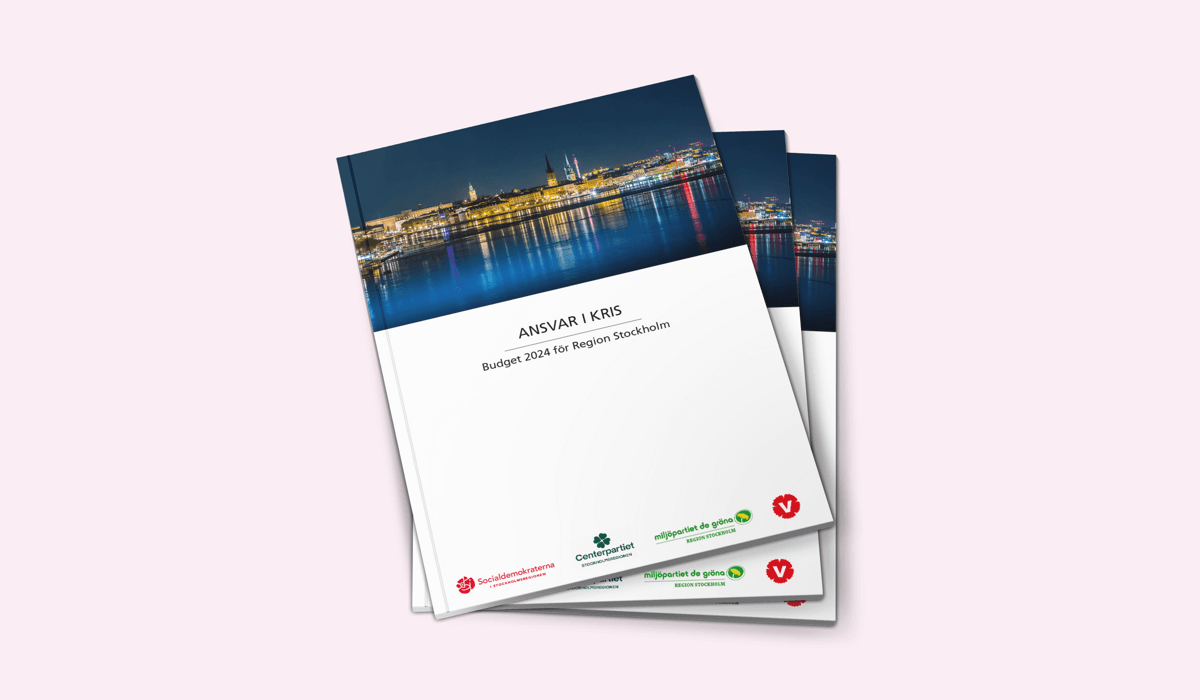 Styrande dokument budget