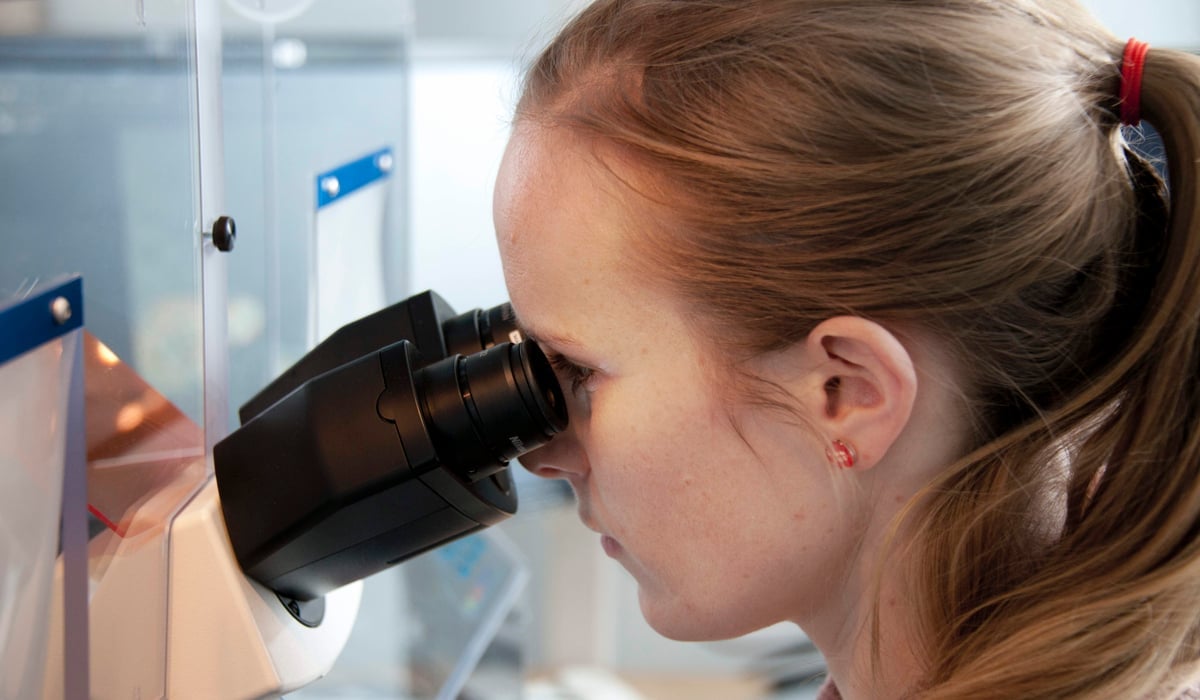 Foto på flicka som tittar i ett mikroskop. 