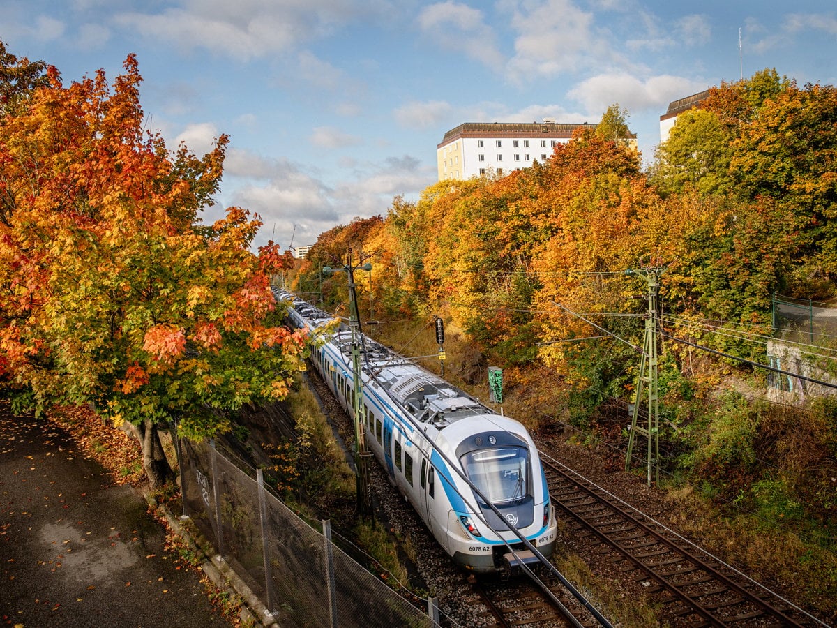 Det är tydligt höst och mellan de rödgula träden susar ett pendeltåg