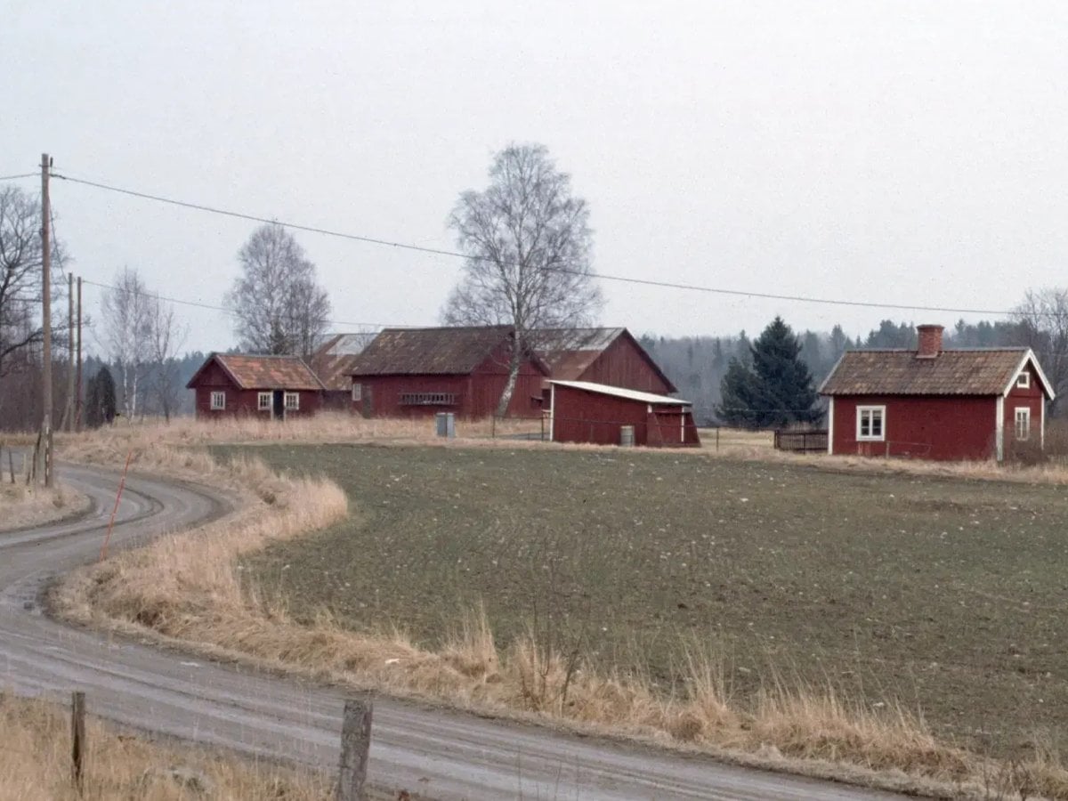 En slingrande grusväg genom en traditionell kulturmiljö i Stockholms län. Små röda hus syns i bakgrunden. 