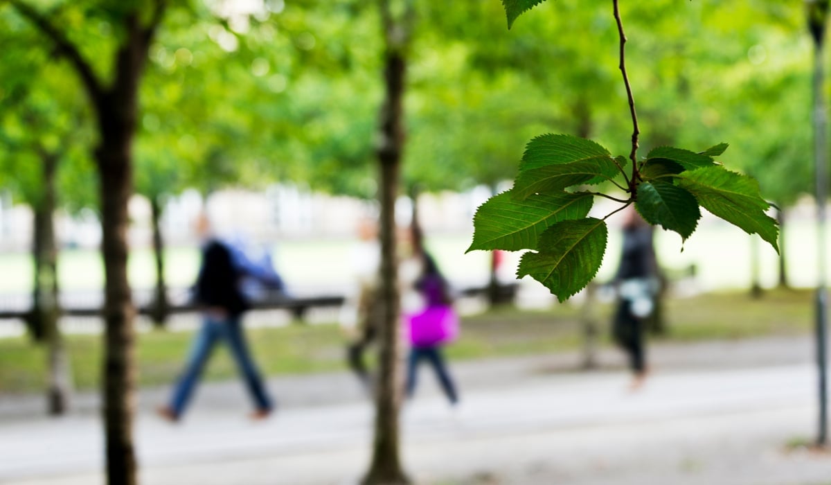 Människor promenerande i en allé. 