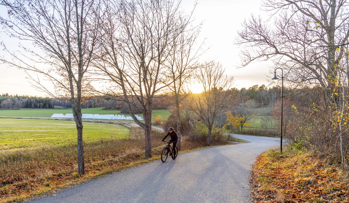 En person cyklar på en väg. Runt omkring finns träd och åkrar.
