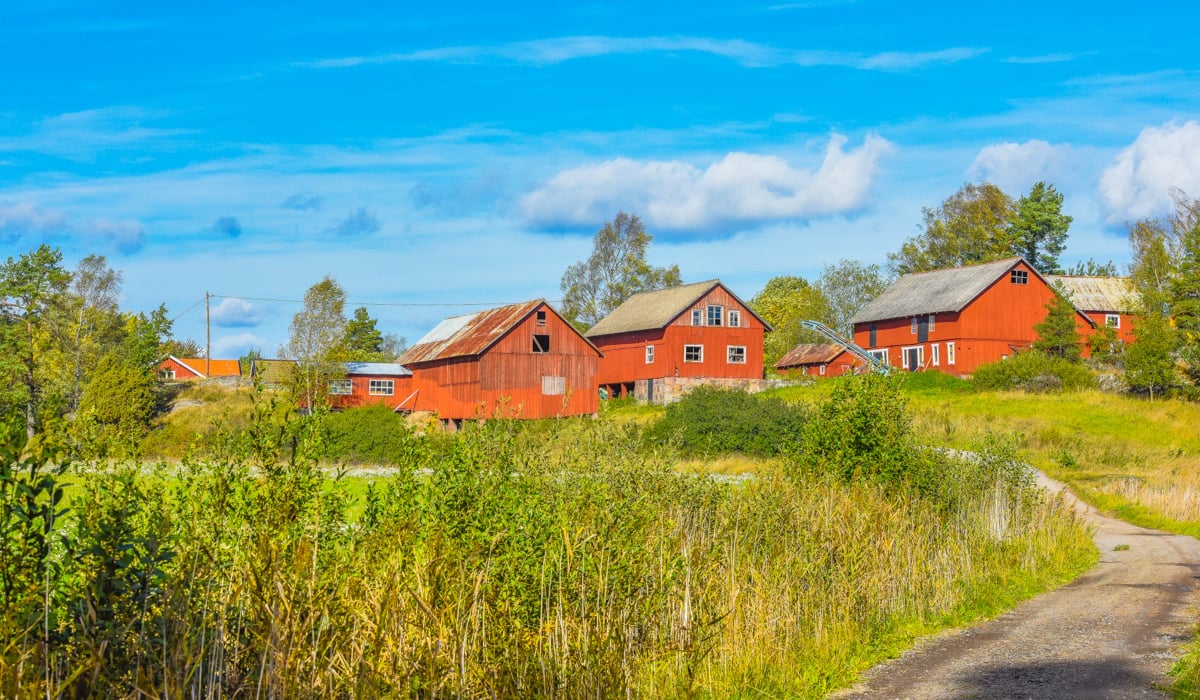 Röda lador och hus med blå himmel och grönt gräs.