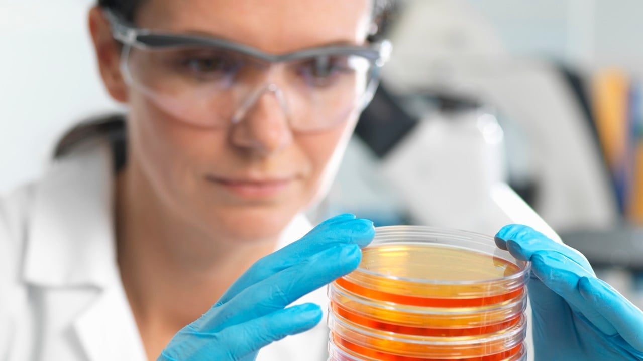 En kvinna med skyddsglasögon och skyddshandskar tittar på labbprover