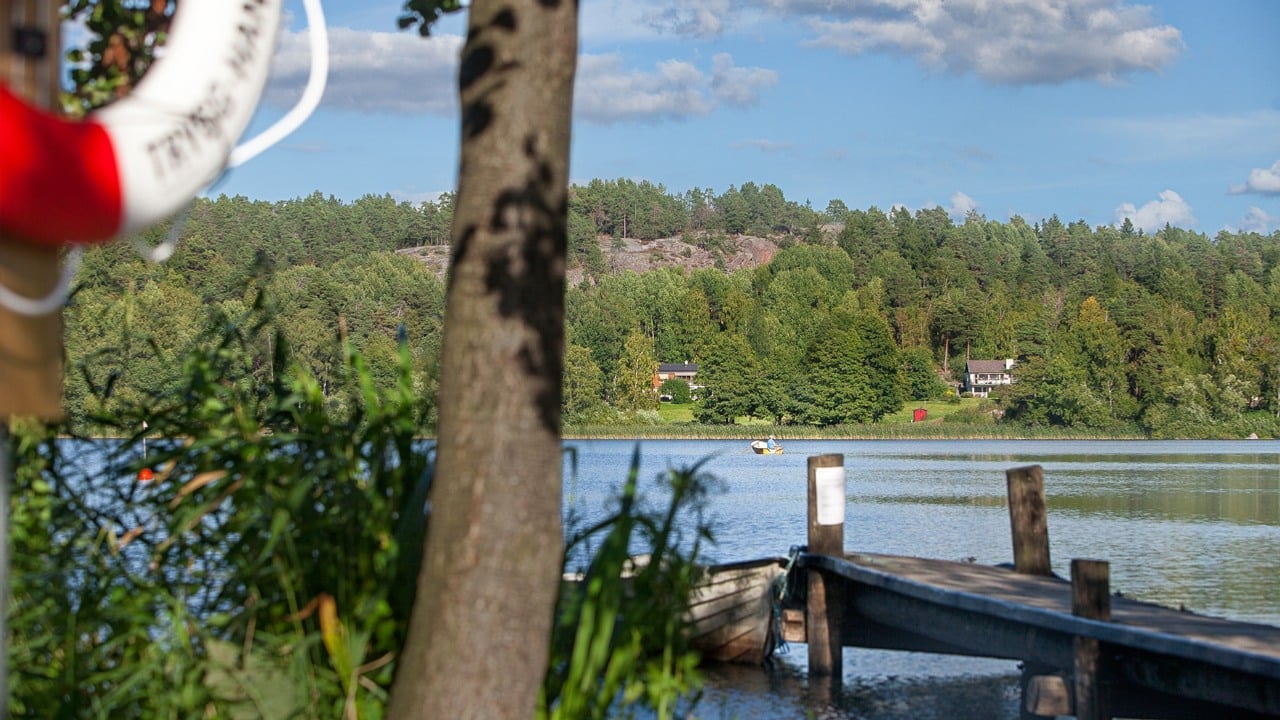 En vacker sommardag vid vattnet. En brygga, vass och båtar syns.