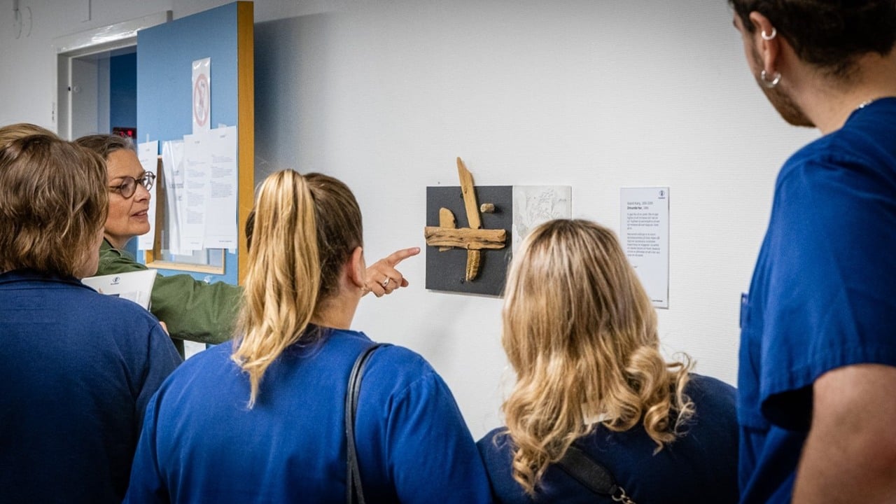 Cecilia pekar på ett konstverk framför en grupp vårdpersonal.