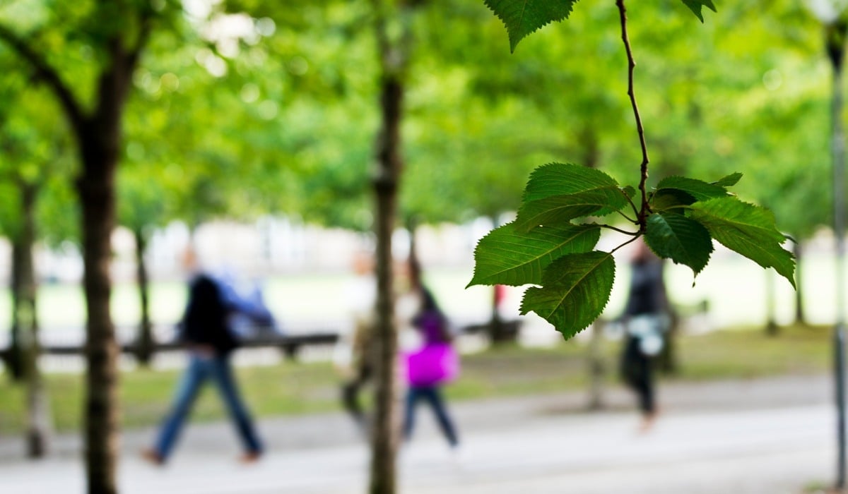 människor som går i en park.