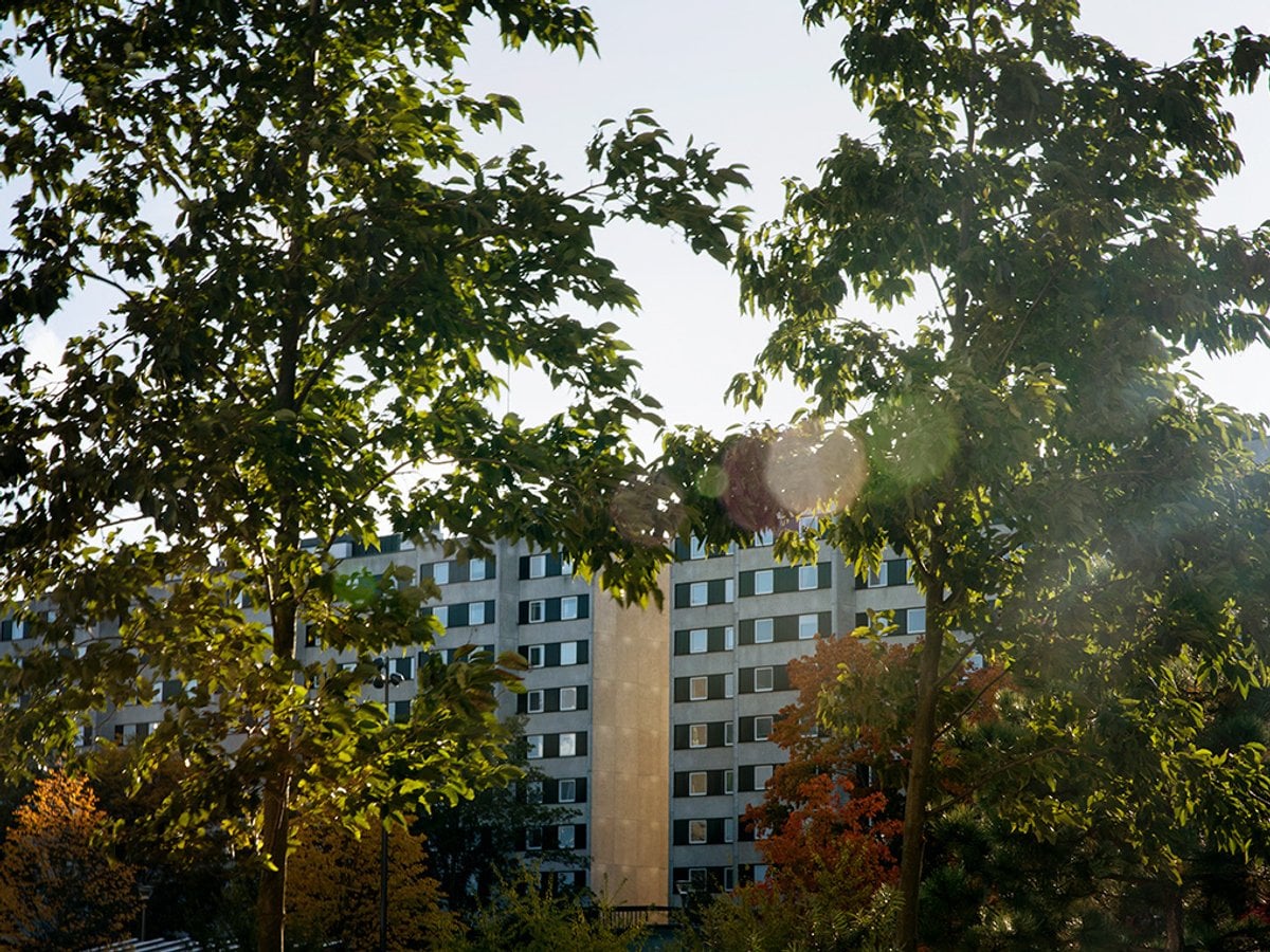 Husen på Malmvägen i Sollentuna fotade genom gröna grenar i lite motljus.