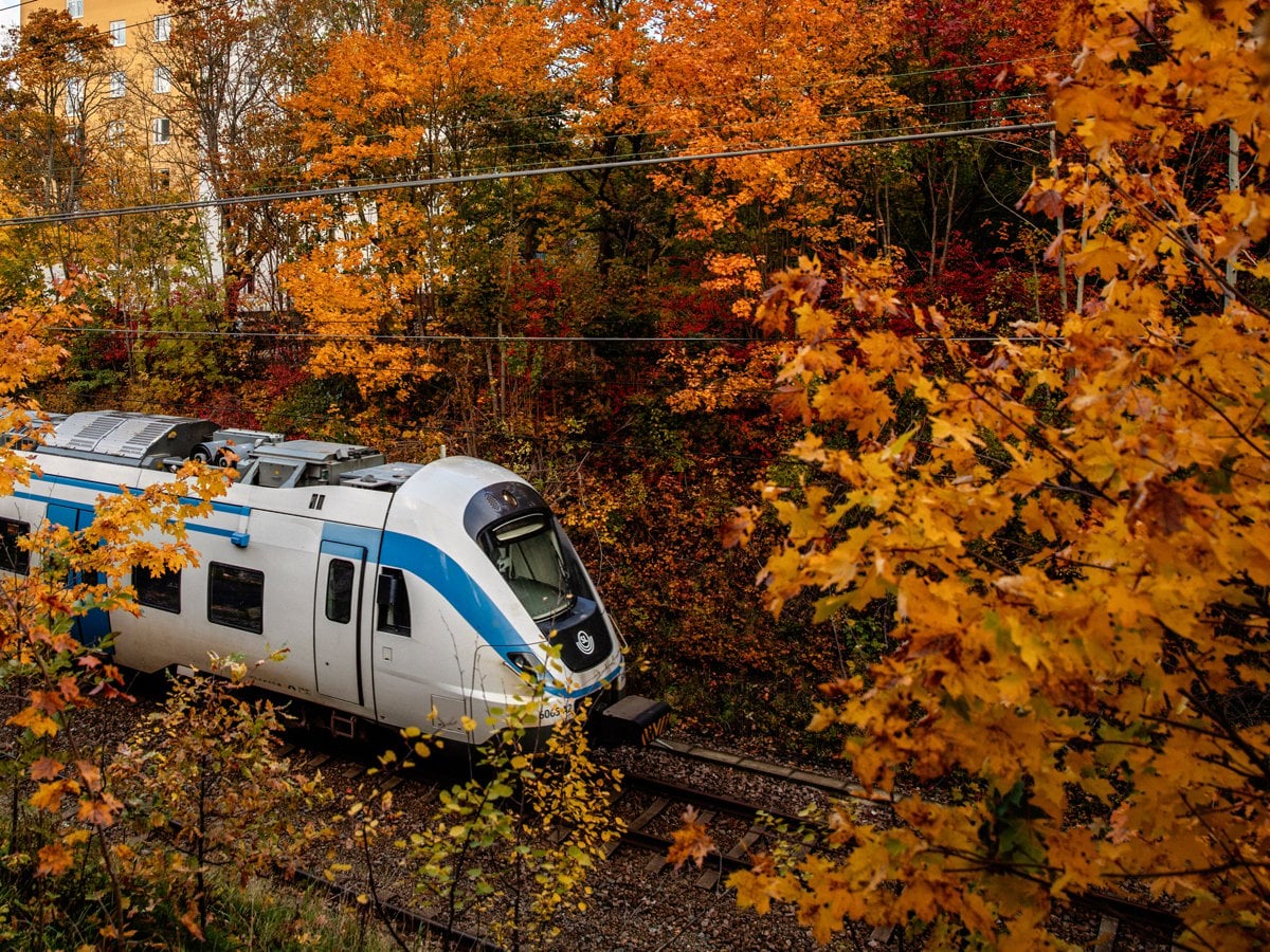 Det är tydligt höst och mellan de rödgula träden susar ett pendeltåg