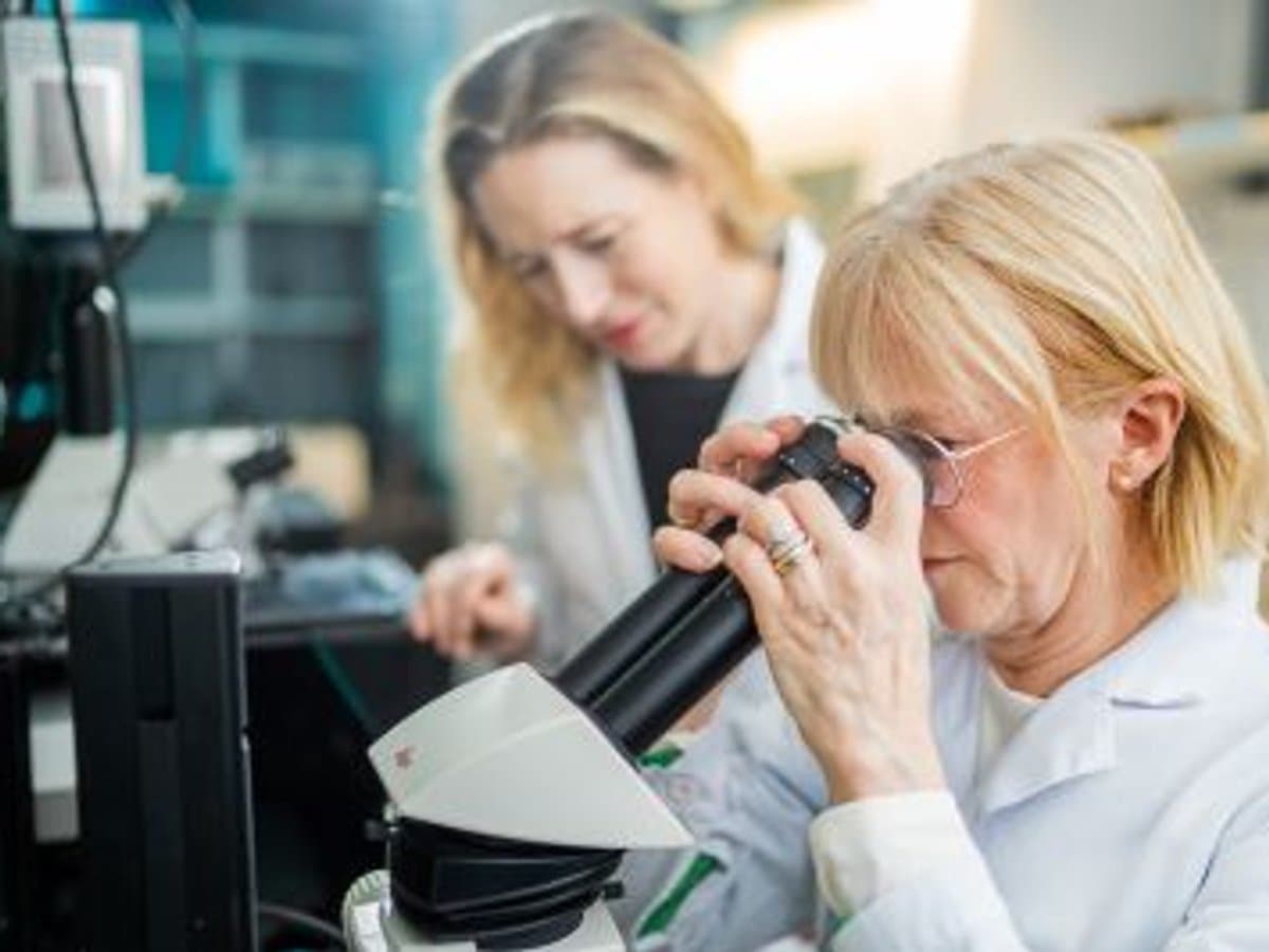 Två forskare i laboratorium