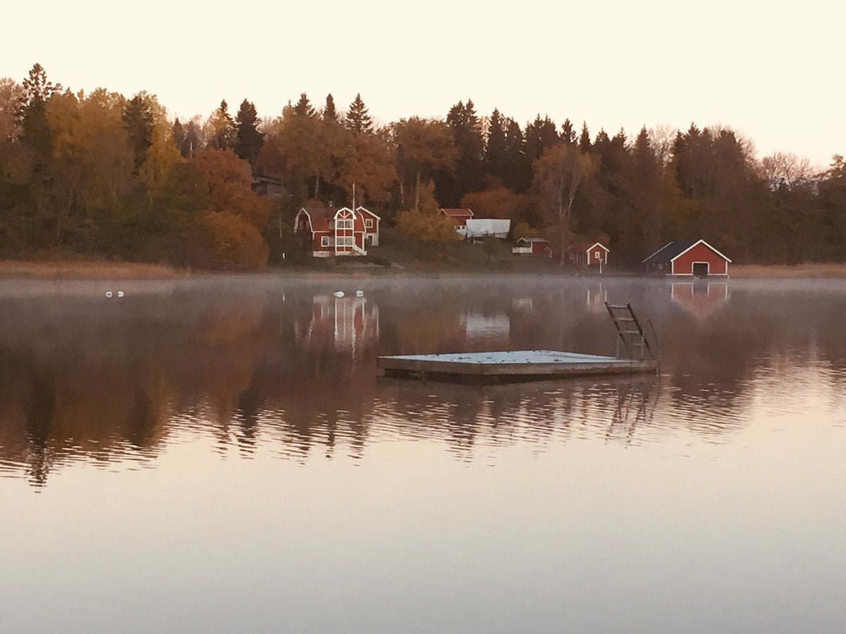 Skärgårdsidyll med brygga och röda hus med vita knutar som ligger några meter från vattenlinjen.