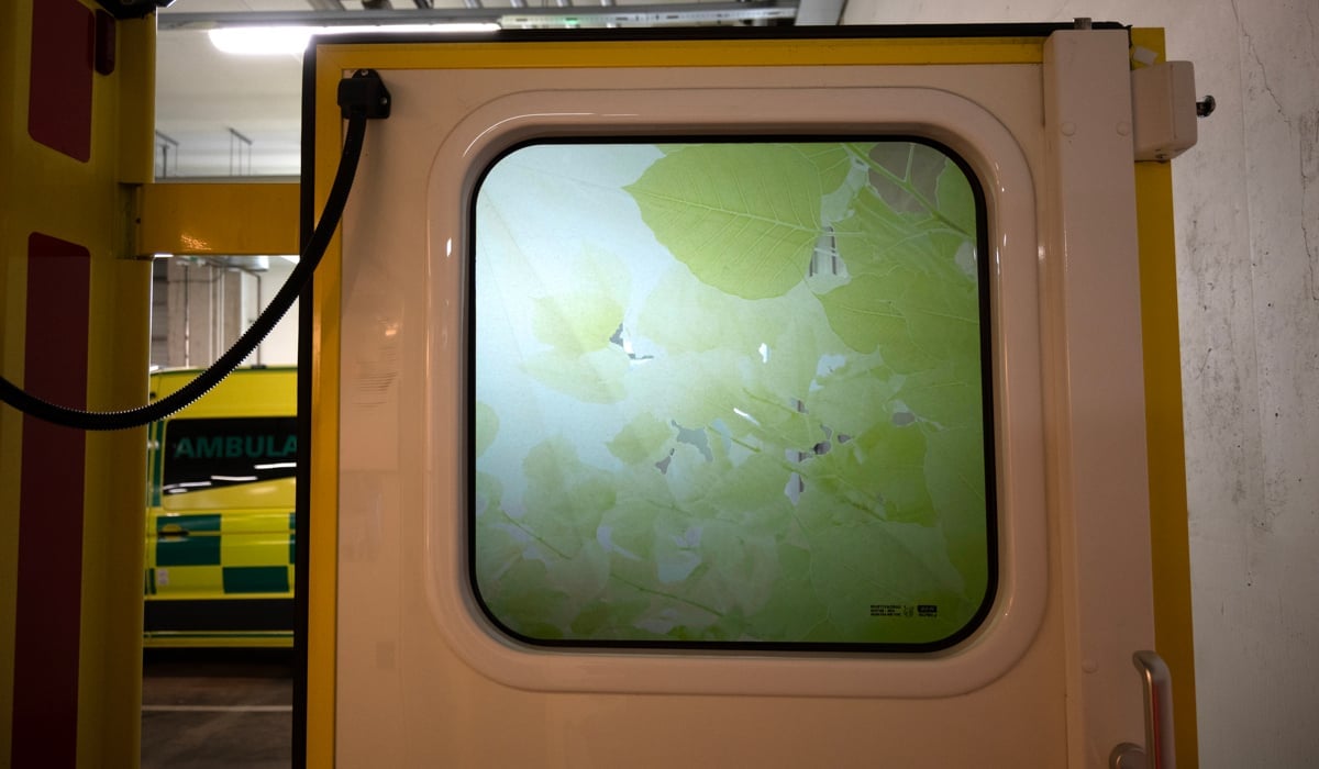 Fönster med foliering av gröna blad