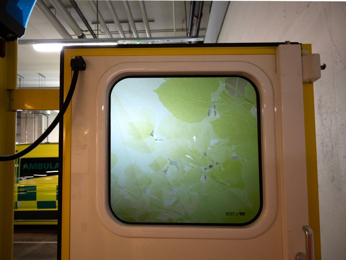 Fönster med foliering av gröna blad