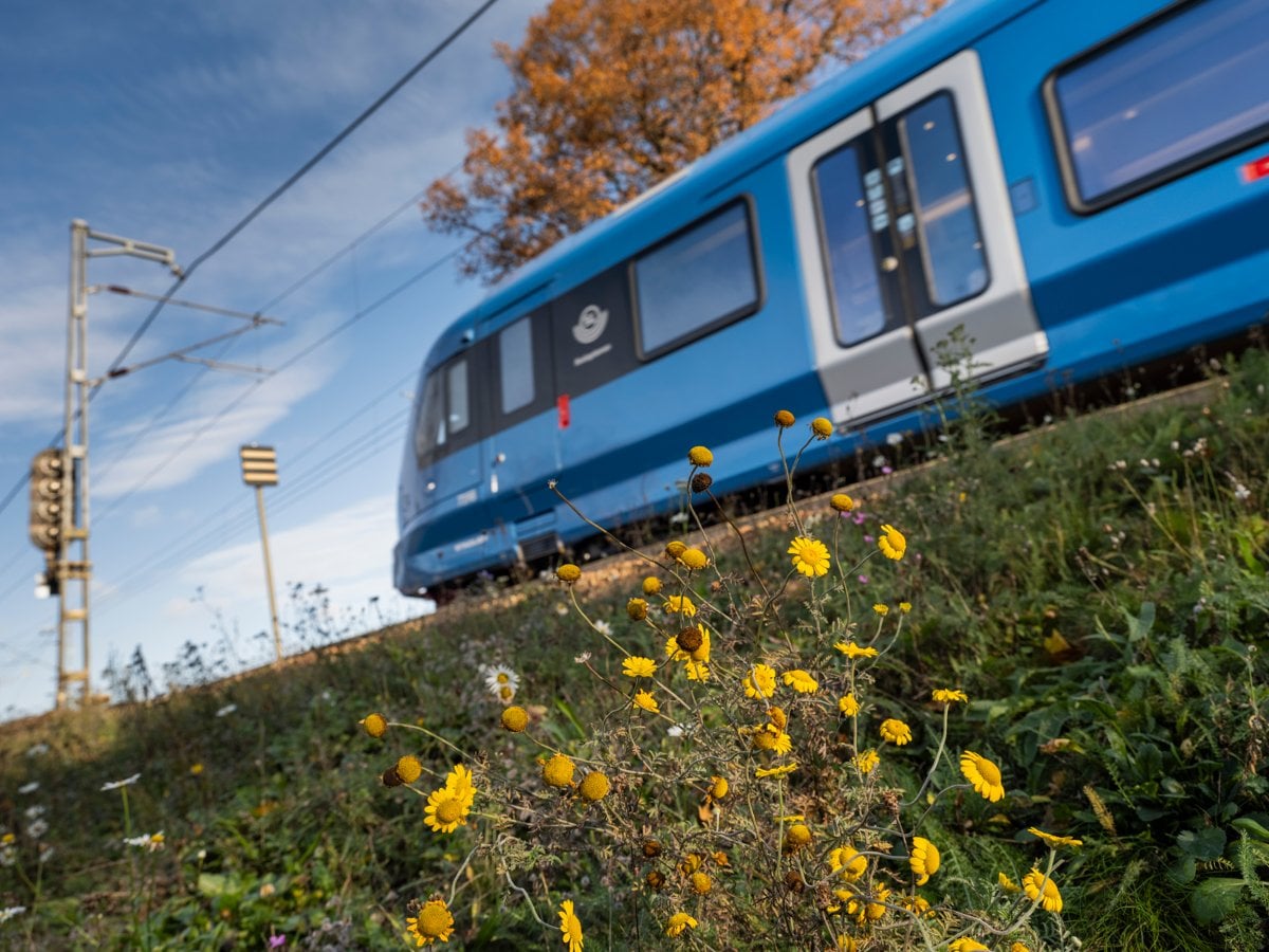 Tåg på Roslagsbanan, höst