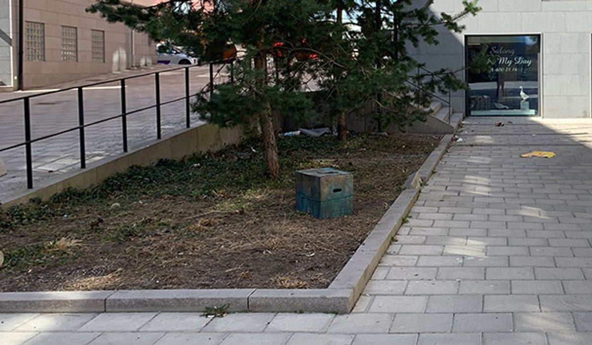 gränd med bred rabatt med växtlighet. I rabatten anas en bronskista.