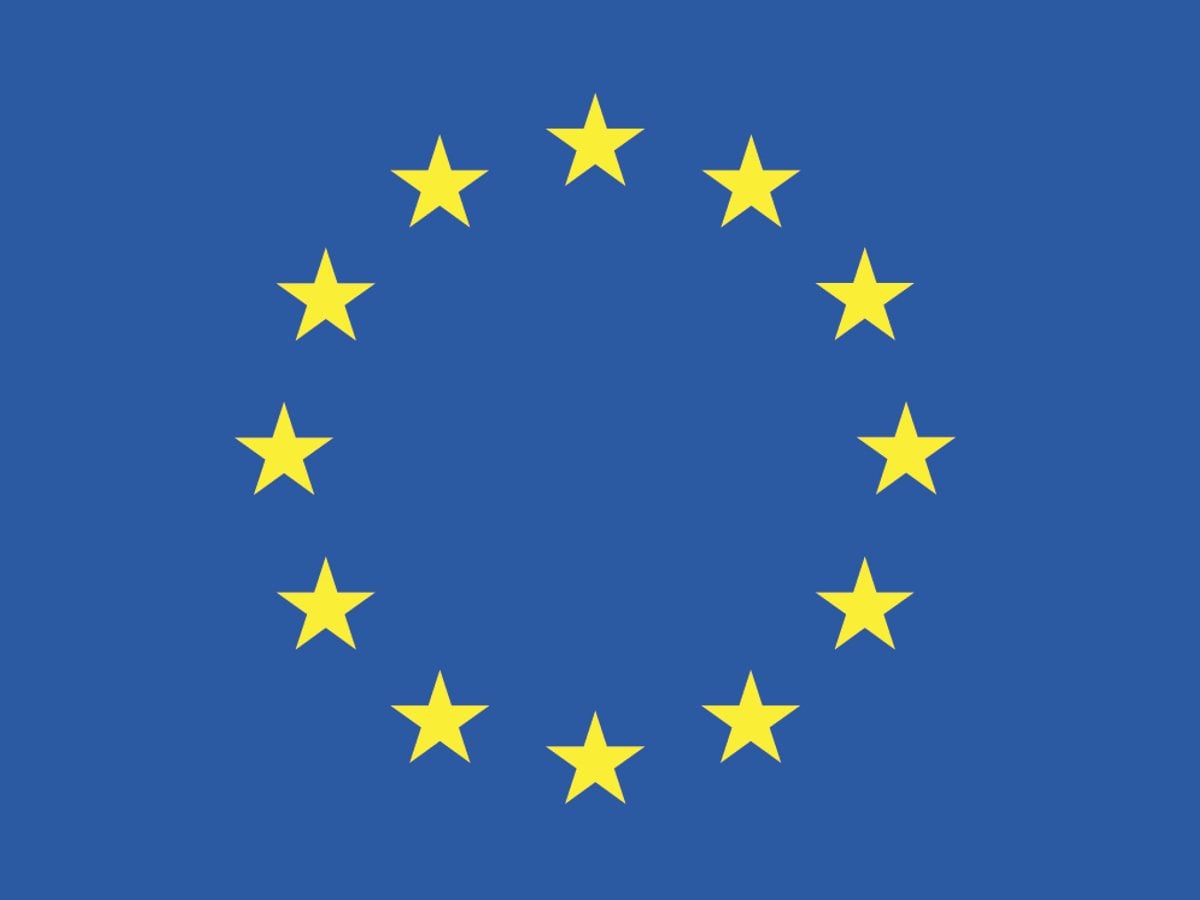 EU-flag and text: Co-funded by the European Union.