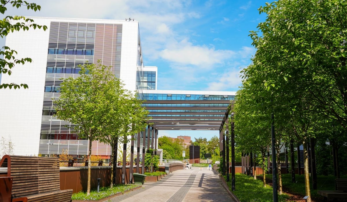 En gångväg kantad av träd och bänkar intill två byggnader vid Karolinska universitetssjukhuset.