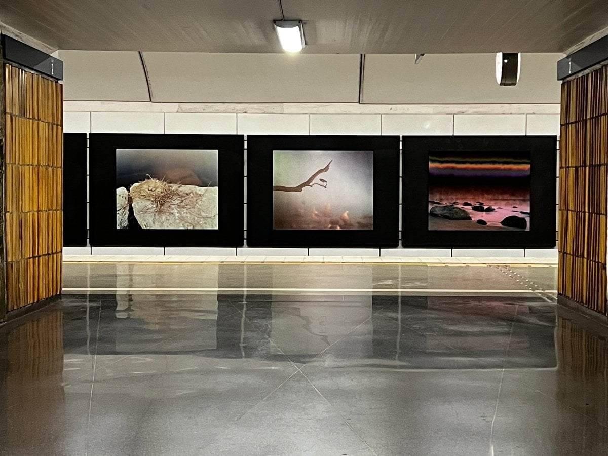 suggestiva naturfotografier i tunnelbanan