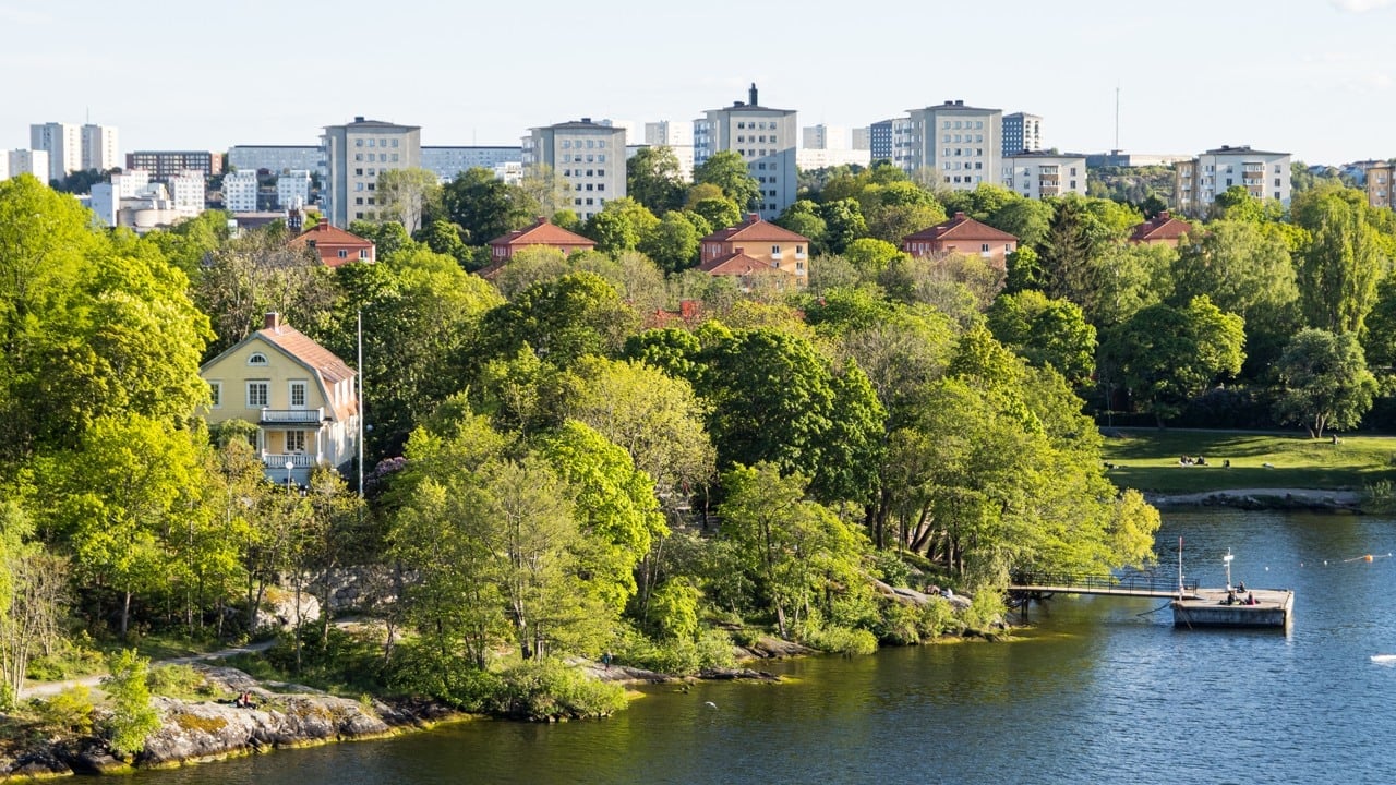 Grön oas med brygga och vatten