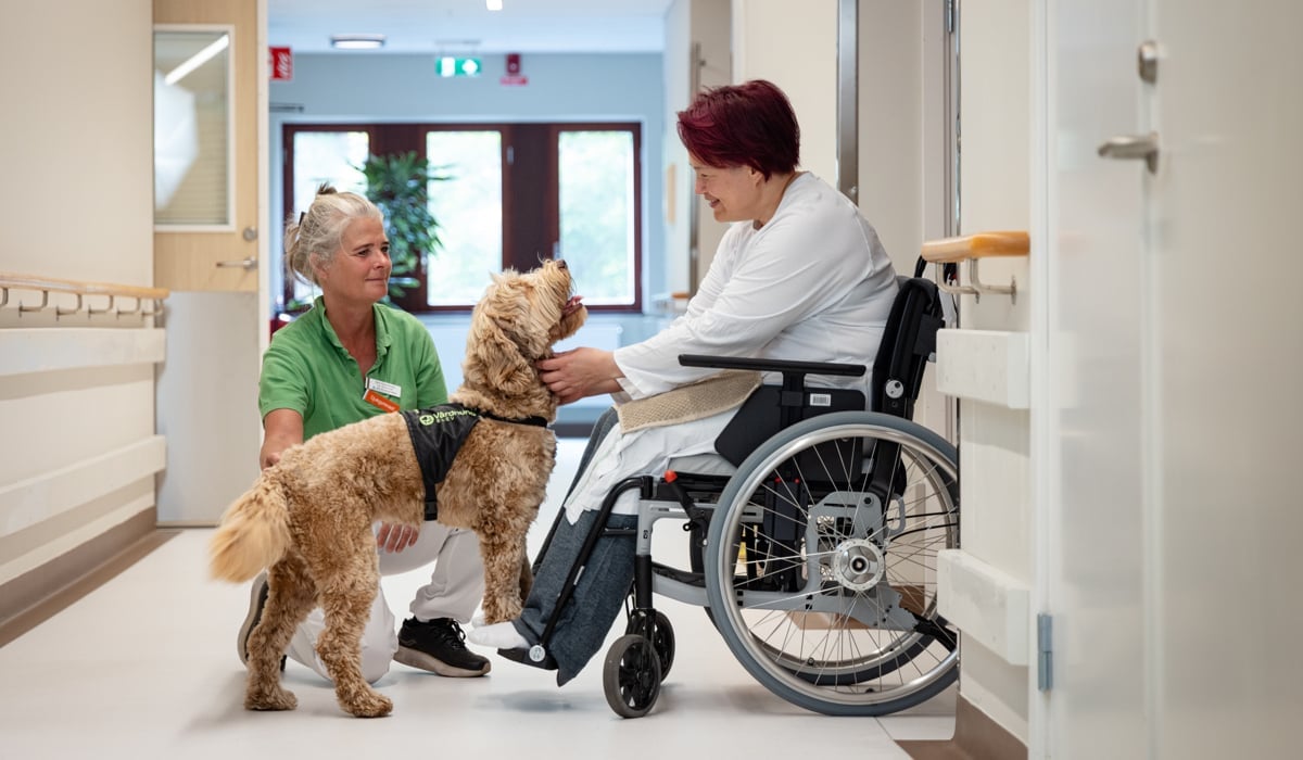 En kvinna i rullstol klappar en hund.
