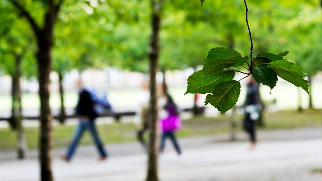 Suddig bild med tre personer som promenerar i en park. Ett blad är i fokus närmast kameran.