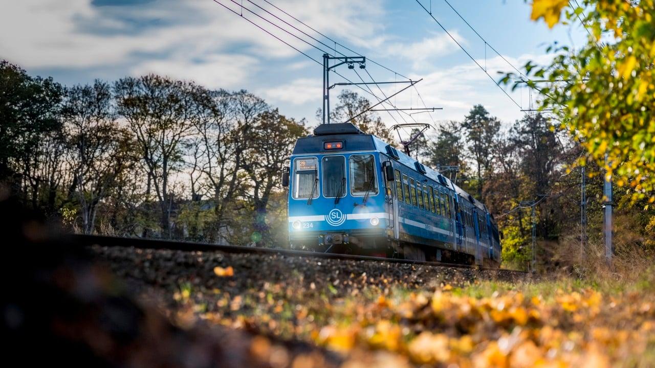 Tåg på Roslagsbanan åker förbi ett grönområde 