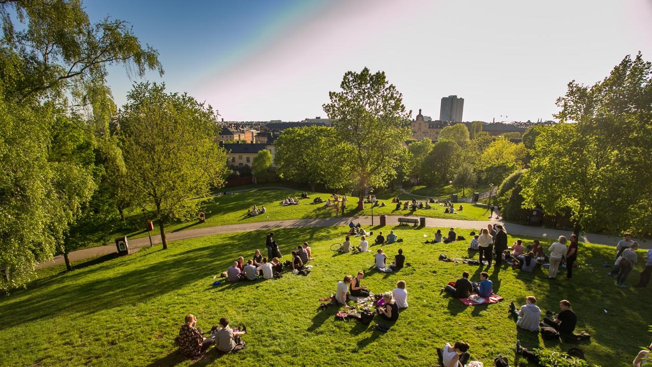 Människor i en grönskande park med ett soligt Stockholm i bakgrunden
