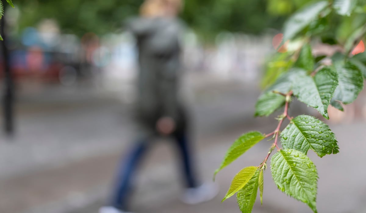 Suddig person går, i förgrunden gröna löv