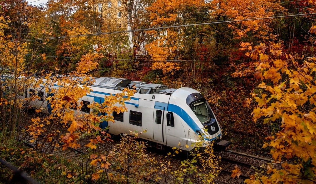 Det är tydligt höst och mellan de rödgula träden susar ett pendeltåg