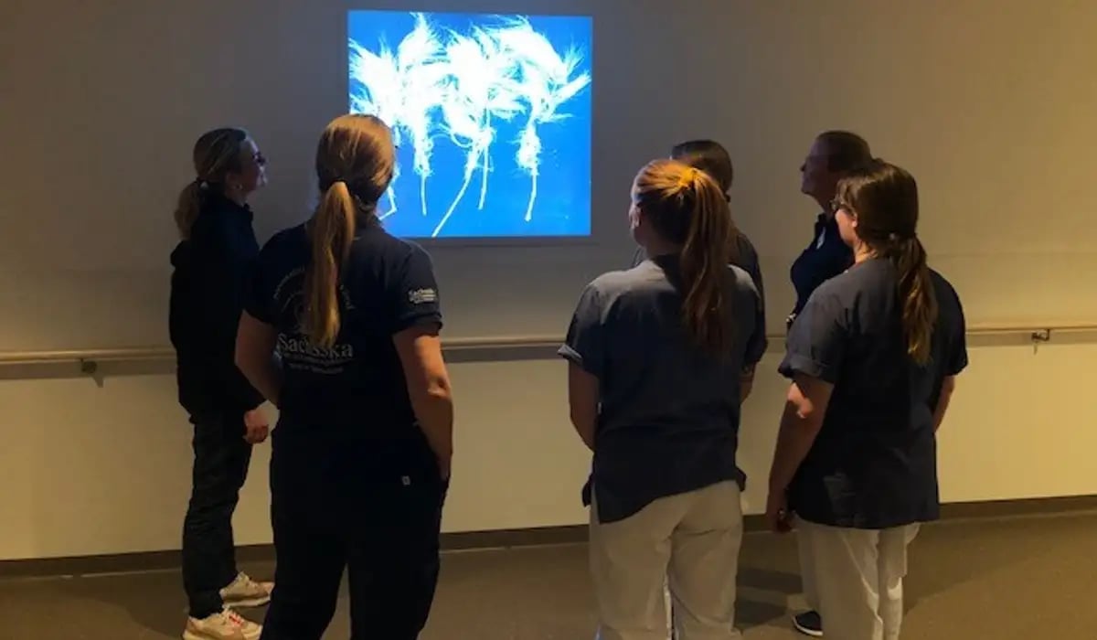 Cecilia visar en ljuslåda för personal.